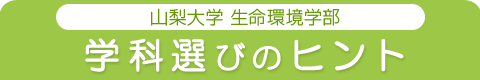 山梨大学生命環境科学部 学科選びのヒント