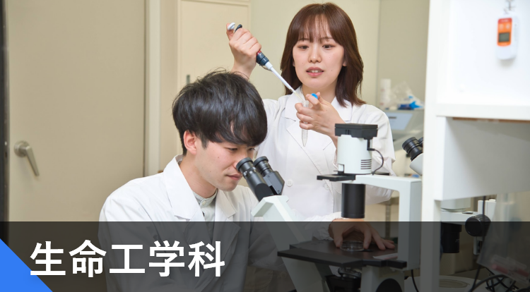 山梨大学 絡まり 教育人間科学部 医学部〈看護学科〉 工学部
