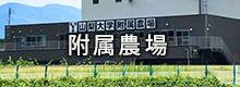 附属農場