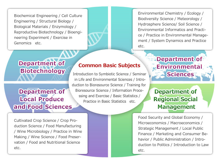 Curriculum concept and structure